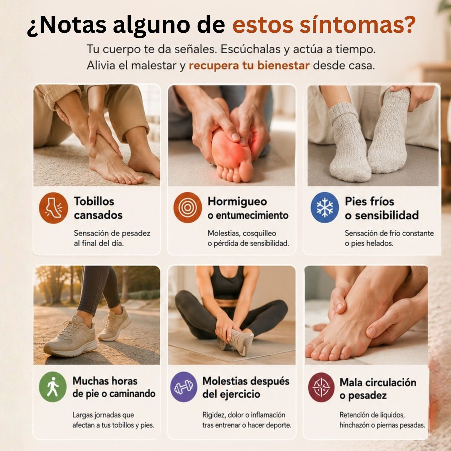 Calmia™ Sistema de Recuperación 3D